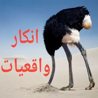Sticker from شکنجه خروس و توپ اصولی rebirth