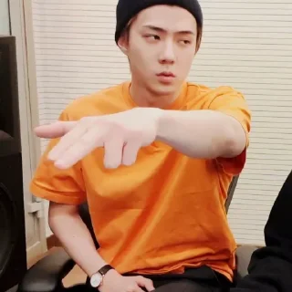 Sticker from Sehun       @packsmee