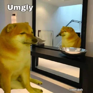 🍆 emoji Cheems and Doge Diviiv Telegram sticker 22 of 36