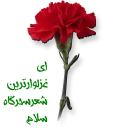 Sticker from حال من خوب است