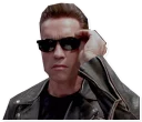 😎 emoji Arnold Schwarzenegger Telegram sticker 21 of 25