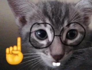 🤓 emoji ммммм киці Telegram sticker 15 of 71