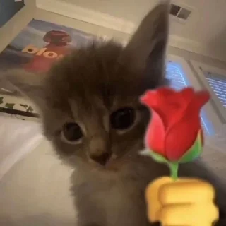 🌷 emoji ммммм киці Telegram sticker 16 of 71