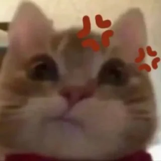 😤 emoji ммммм киці Telegram sticker 6 of 71