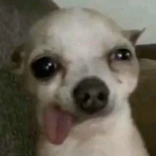 🤪 emoji پک بیتا🫧 Telegram sticker 12 of 31
