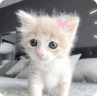 🌟 emoji Стикеры Telegram sticker 7 of 29