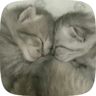 🐾 emoji Стикеры Telegram sticker 20 of 29