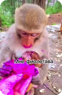 🌟 emoji Пак нейрика 2 Telegram sticker 19 of 50