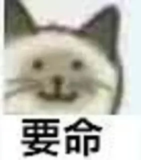 🎚 emoji 你在找我吗 @hds66999 Telegram sticker 20 of 43
