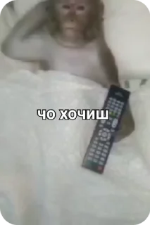 🌟 emoji Пак нейрика 3 Telegram sticker 11 of 50