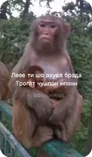 Sticker from Пак Нейрика 4