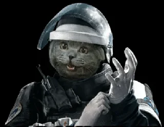 🐱 emoji Rainbow six Telegram sticker 18 of 44