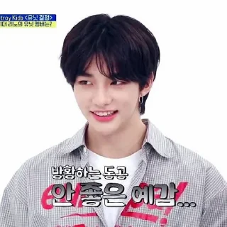 📌 emoji -HyunJin @mysaviorbtss Telegram sticker 20 of 56