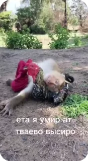 🌟 emoji Пак нейрика Telegram sticker 18 of 50