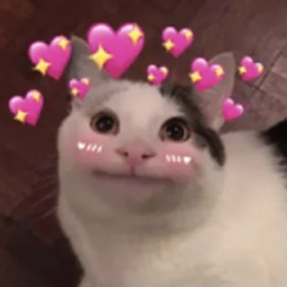 💖 emoji Beluga Telegram sticker 4 of 17