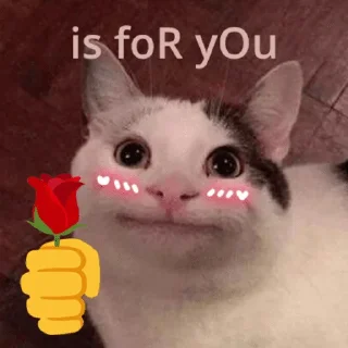 🌺 emoji Beluga Telegram sticker 15 of 58