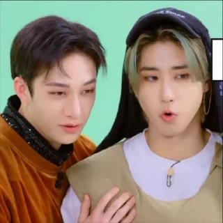 💚 emoji SKZ SPOTIFY @SKZSTICKERS Telegram sticker 16 of 49