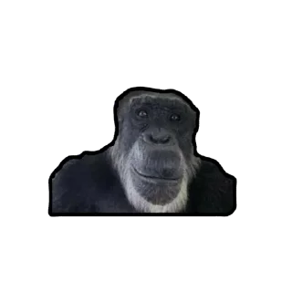 🫥 emoji Бабл квасик Telegram sticker 23 of 65