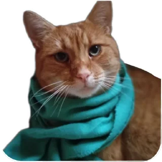 😊 emoji Boris Telegram sticker 22 of 66