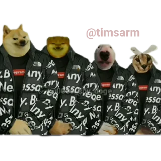 🤝 emoji Pepe | @timsarm Telegram sticker 5 of 120