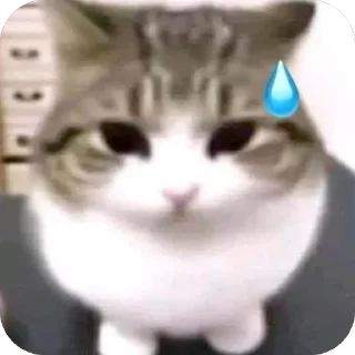 🫥 emoji 💯💯💯طط💯ط Telegram sticker 23 of 44