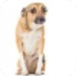 🫥 emoji 💯💯💯طط💯ط Telegram sticker 18 of 44