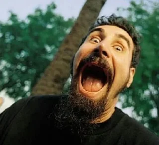 🥡 emoji System of a down🥰@system_of_a_down Telegram sticker 12 of 119