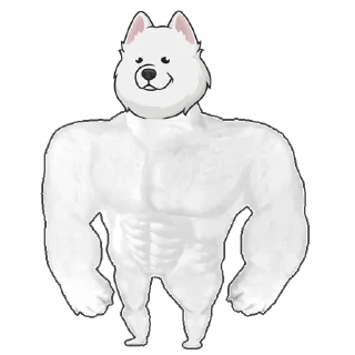 💪 emoji Samoyed Telegram sticker 14 of 14