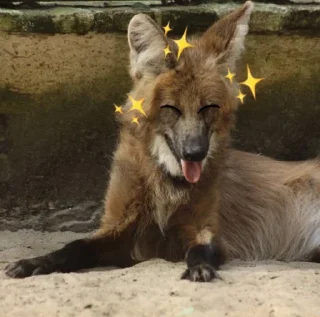 😝 emoji Leggy Googly Eyes @Miomiya Telegram sticker 13 of 63