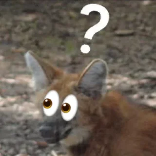 👀 emoji Leggy Googly Eyes @Miomiya Telegram sticker 18 of 63