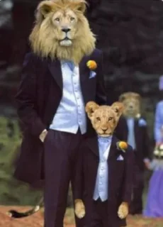 🦁 emoji Mr Mrs Miss Queen King @MyselfMeandIo Telegram sticker 20 of 50