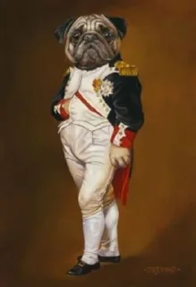 🐶 emoji Mr Mrs Miss Queen King @MyselfMeandIo Telegram sticker 19 of 50