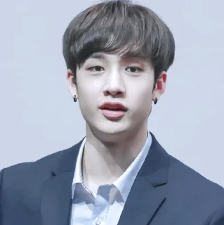 🐚 emoji | Bang Chan 🕊 | Telegram sticker 19 of 65