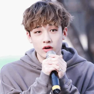 🐚 emoji | Bang Chan 🕊 | Telegram sticker 15 of 65
