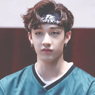 🐚 emoji | Bang Chan 🕊 | Telegram sticker 5 of 65