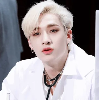 Sticker from | Bang Chan 🕊 |