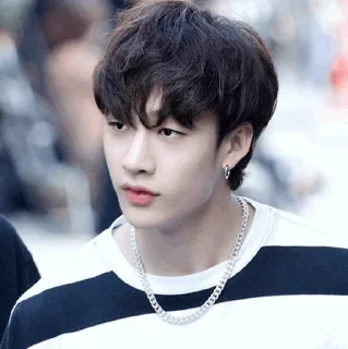 🐚 emoji | Bang Chan 🕊 | Telegram sticker 24 of 65