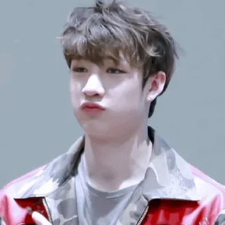 🐚 emoji | Bang Chan 🕊 | Telegram sticker 12 of 65
