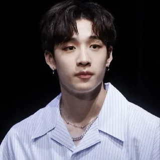 🐚 emoji | Bang Chan 🕊 | Telegram sticker 8 of 65