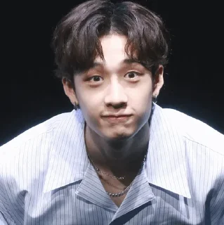 🐚 emoji | Bang Chan 🕊 | Telegram sticker 9 of 65