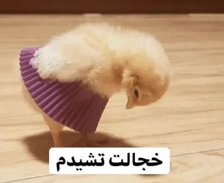 🥺 emoji So🌸asl🐣 Telegram sticker 15 of 91