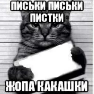 🍾 emoji huipizdaskovoroda Telegram sticker 12 of 120