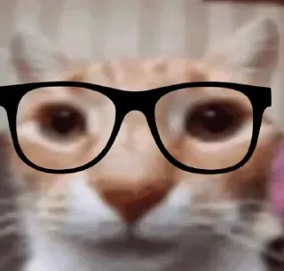 🤓 emoji Mohamed 4ks kang pack Telegram sticker 14 of 34