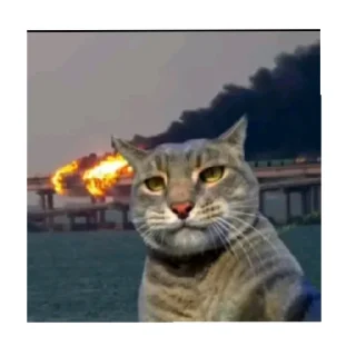 ✅ emoji Слава Україні героями слава Telegram sticker 13 of 39