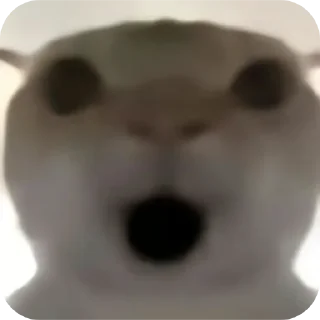 Sticker from Chinese cat