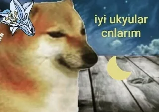🌟 emoji Yks sohbet tavsiye Telegram sticker 20 of 55