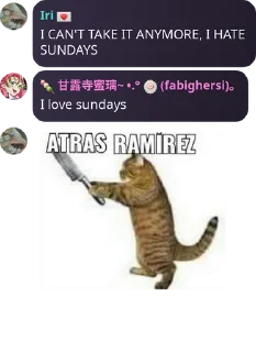 Sticker from 🏳️‍🌈Group quotes 4 (@CalsiBot)