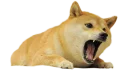 😠 emoji Outer Gaf 2 Telegram sticker 6 of 22
