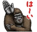 ✋ emoji Gorilla Gorilla 2 Telegram sticker 7 of 40