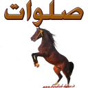 Sticker from Kurdish horse